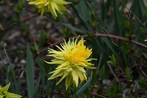 2025-04216368 Tower Hill Botanic Garden, MA